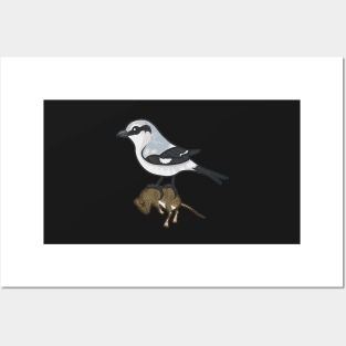 Northern Shrike Posters and Art